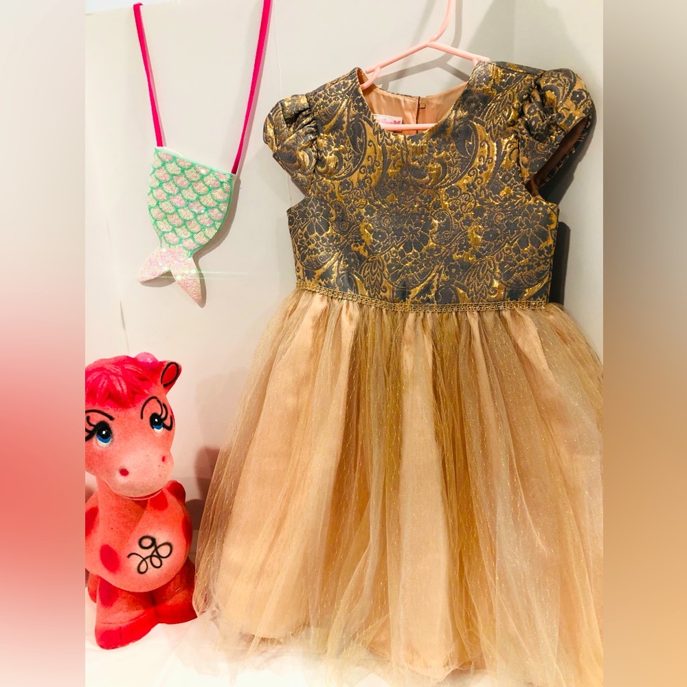 Beautiful formal dress. Very pretty peach color with gray accents.